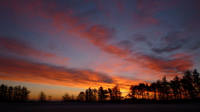 The mist is still on the ground as dawn rises in to the sky in Moray. I thought to myself have posted some nice light for a while - so here you go - enjoy