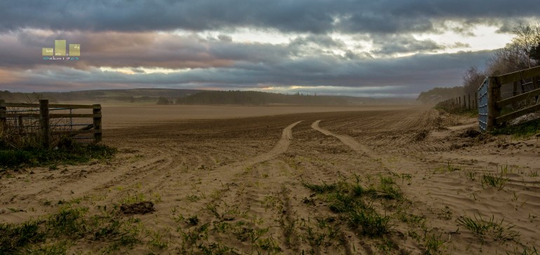 As Lyle is beginning to believe is permanently bathed in sunshine, I thought I would take you back a week or so to the period of strong winds which we had - I tried my level best to trash a 24-85mm Nikor  attempting to take a dust bowl live (silly me). Realising I was loosing out badly to nature I headed to the field next door and got this. It doesn't quiet help you appreciate the weather condition's. However if you look across the the image there are clues everywhere. Perhaps there is a bit too much going on - either way we needed to move away from Torridon just briefly.