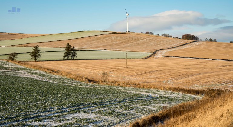 A light dusting of colour