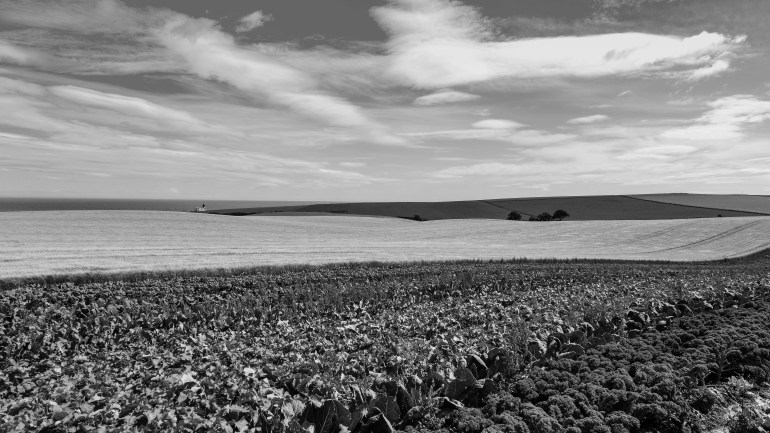 Todhead Lighthouse Landscape S