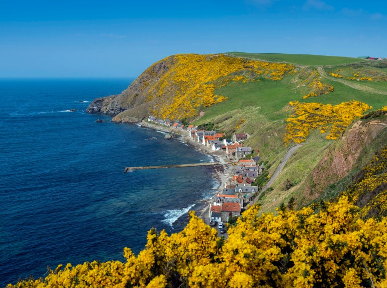 Crovie Resplendent in Spring Guise S