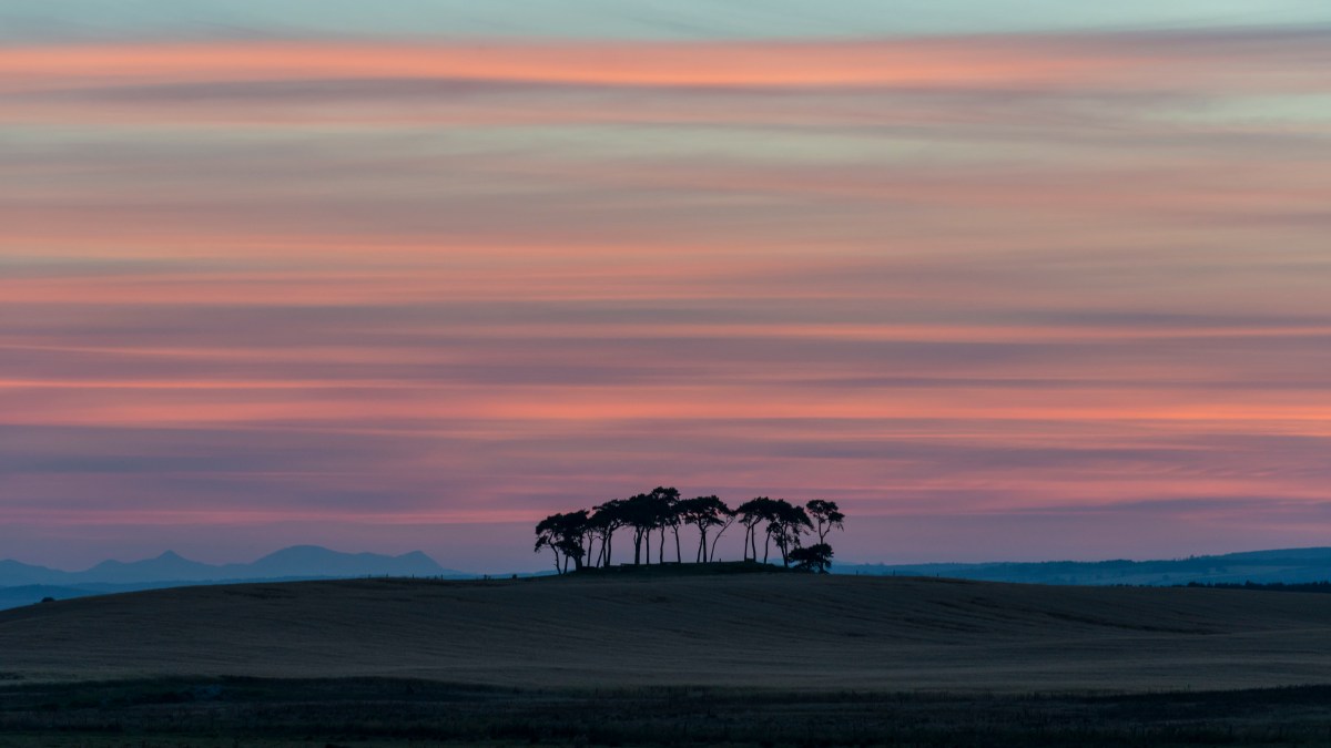 golanfield-copse-sunset