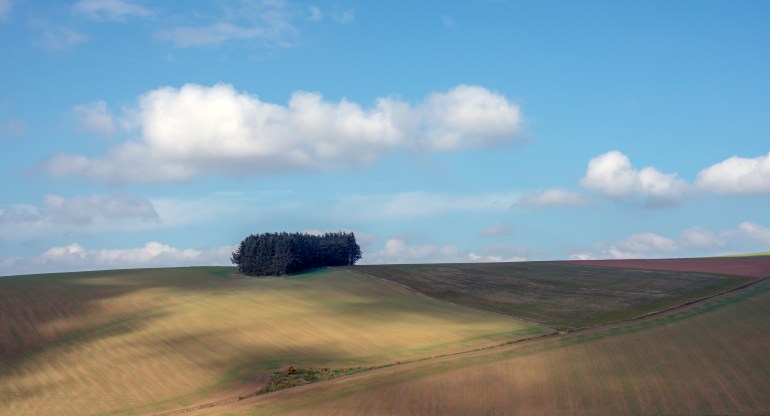 Cat Den nr Hill of Tillymorgan