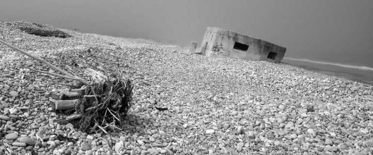 Defence of the Realm